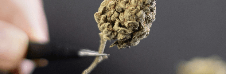 Join the marketplace